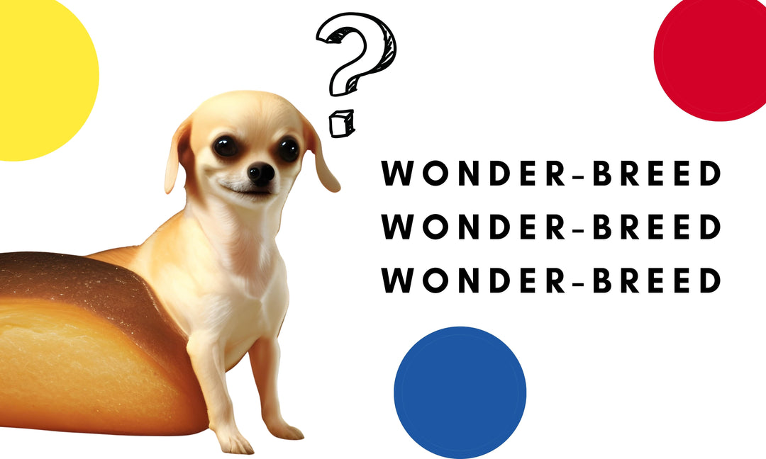 Wondering Pug with No Thoughts Flag