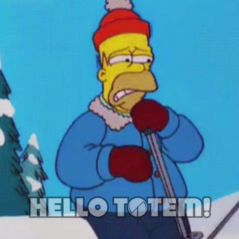 Homer Stupid Sexy Graphics