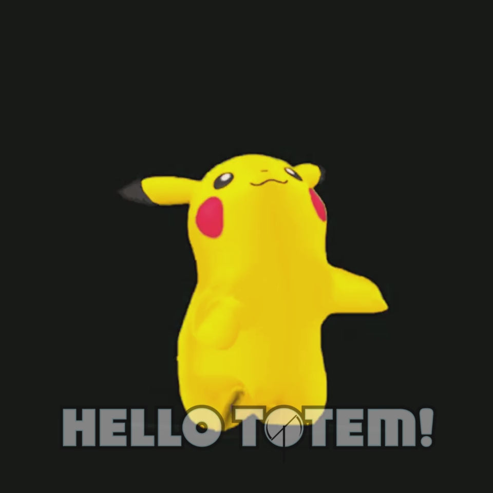 Pika Dance Graphics