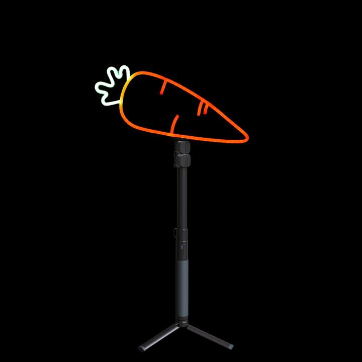 Carrot Neon