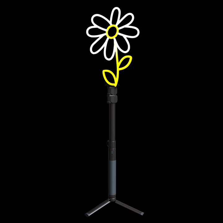 Daisy Neon
