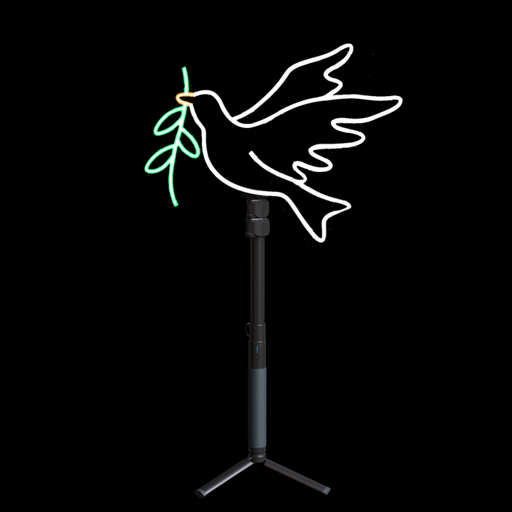 Bird Dove Neon