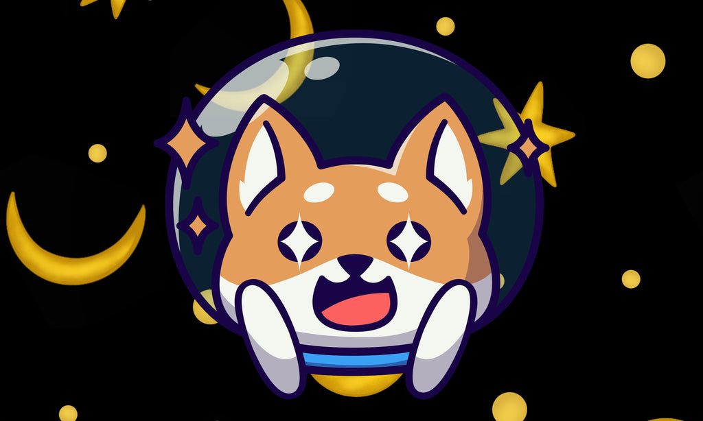 Shiba Space Flag