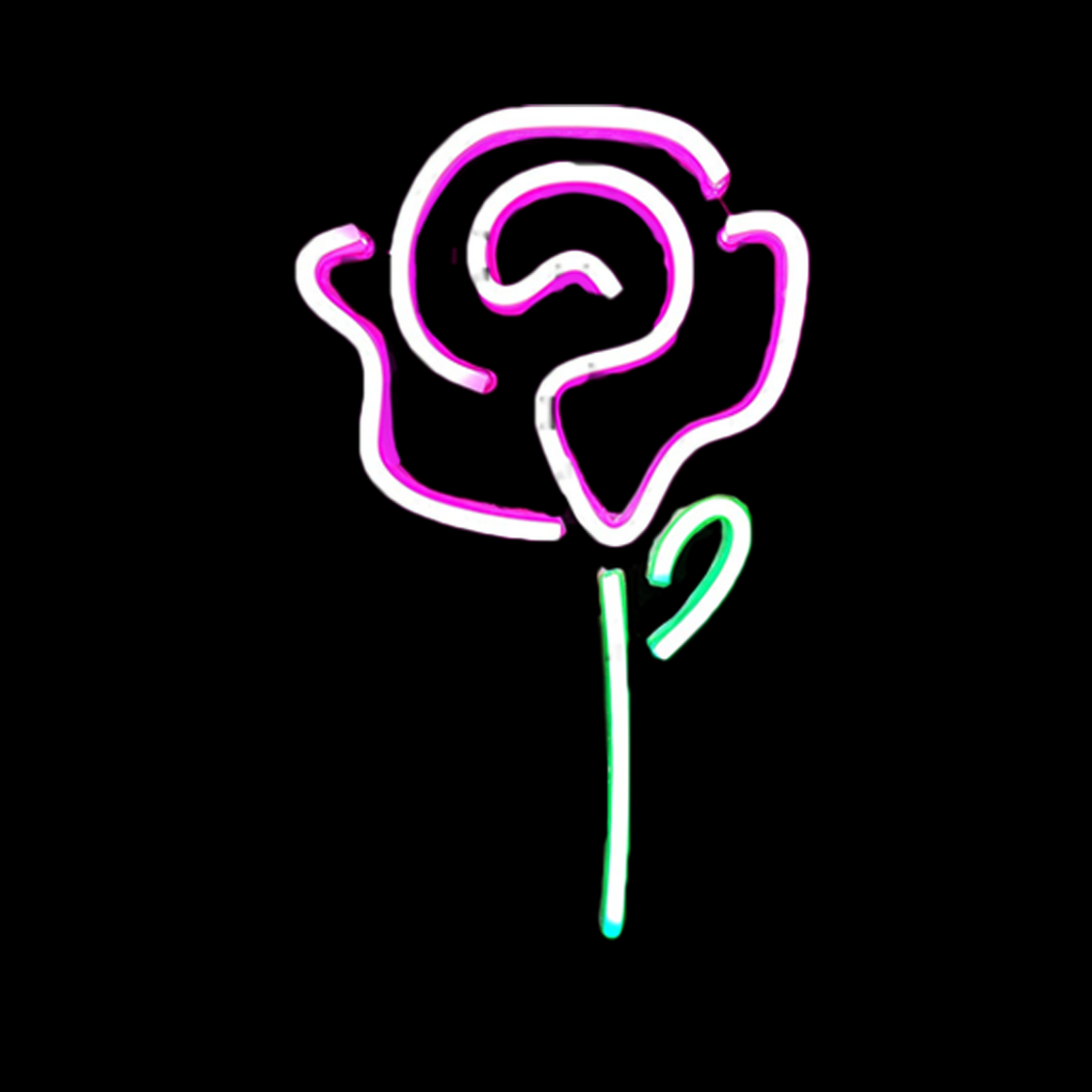 Rose Neon