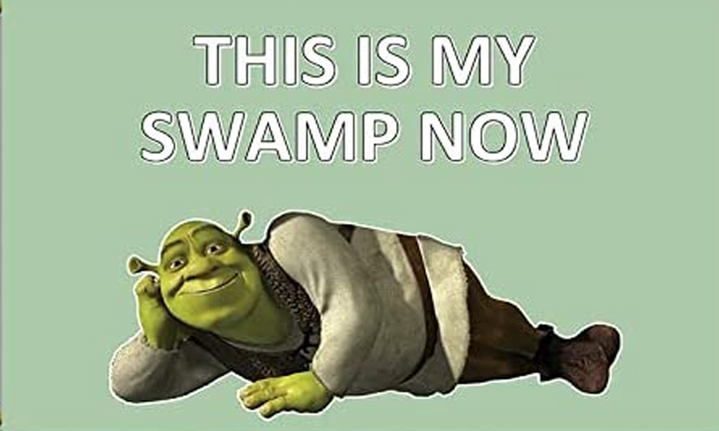 This My Swamp Flag