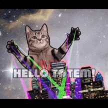 Cat Laser Graphics